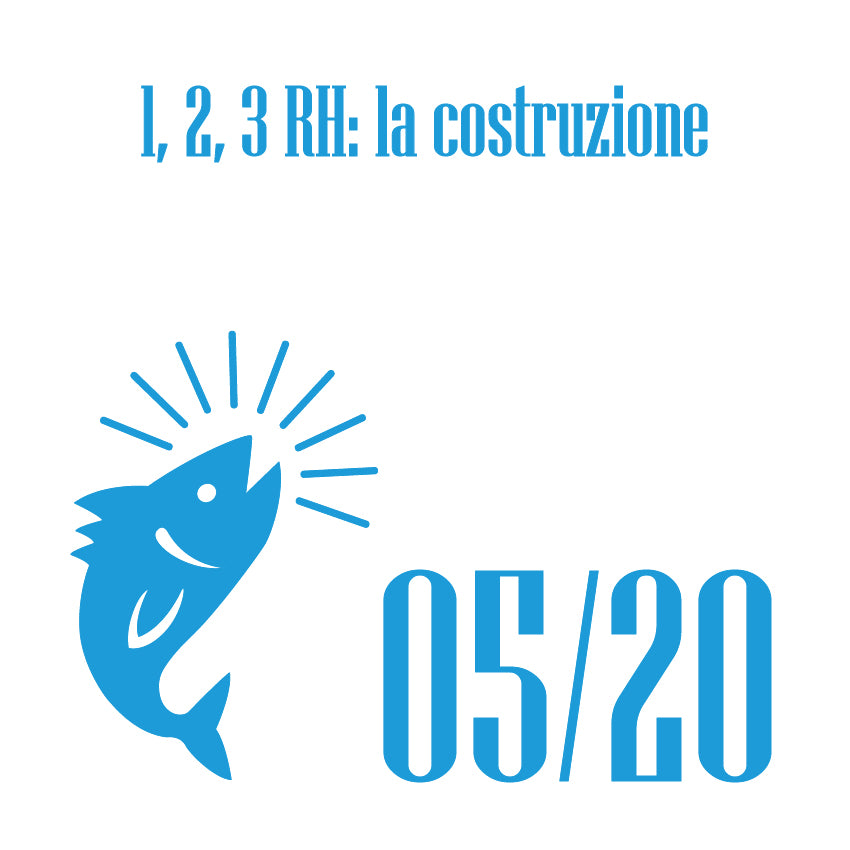 Percorso di Trading eclettico DEG "Adoro le Mani Forti" episodio 5 "123, rh, la costruzione"